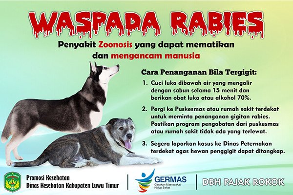 Waspada Rabies